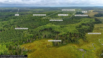 40 acres on FR 1769, Cable, WI, 54821
