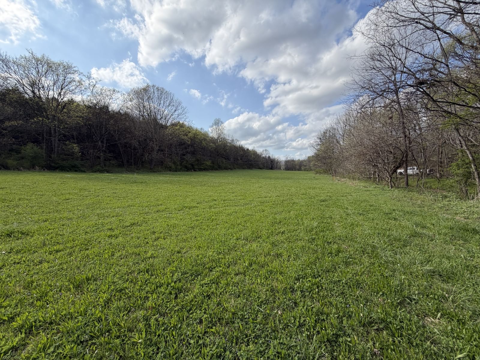 0 Opossum Paw Road — photo 1