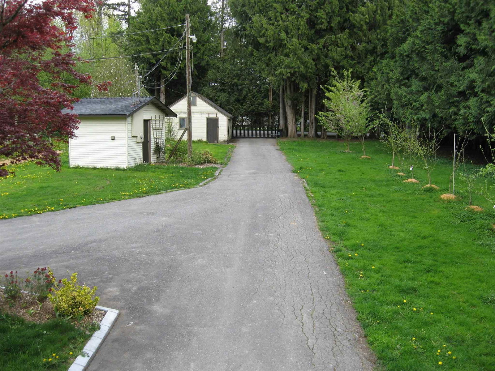 Listing Image 39