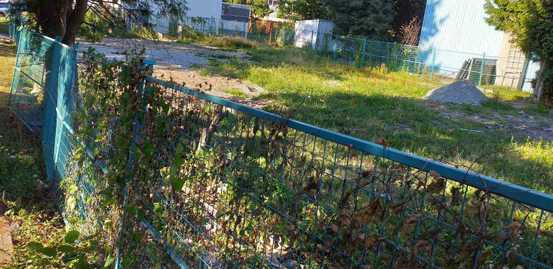 14513 108 Avenue, Surrey, V3R 1V6 | Image 3