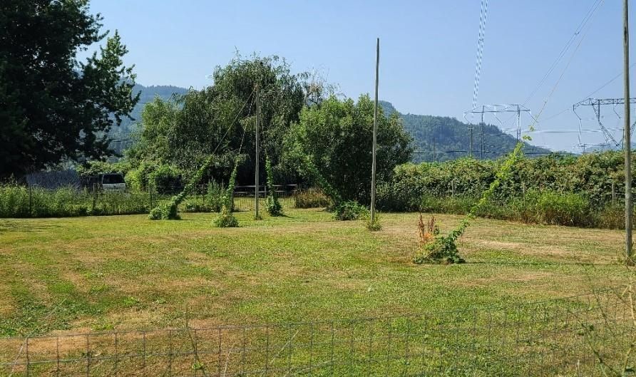 Listing Image 32
