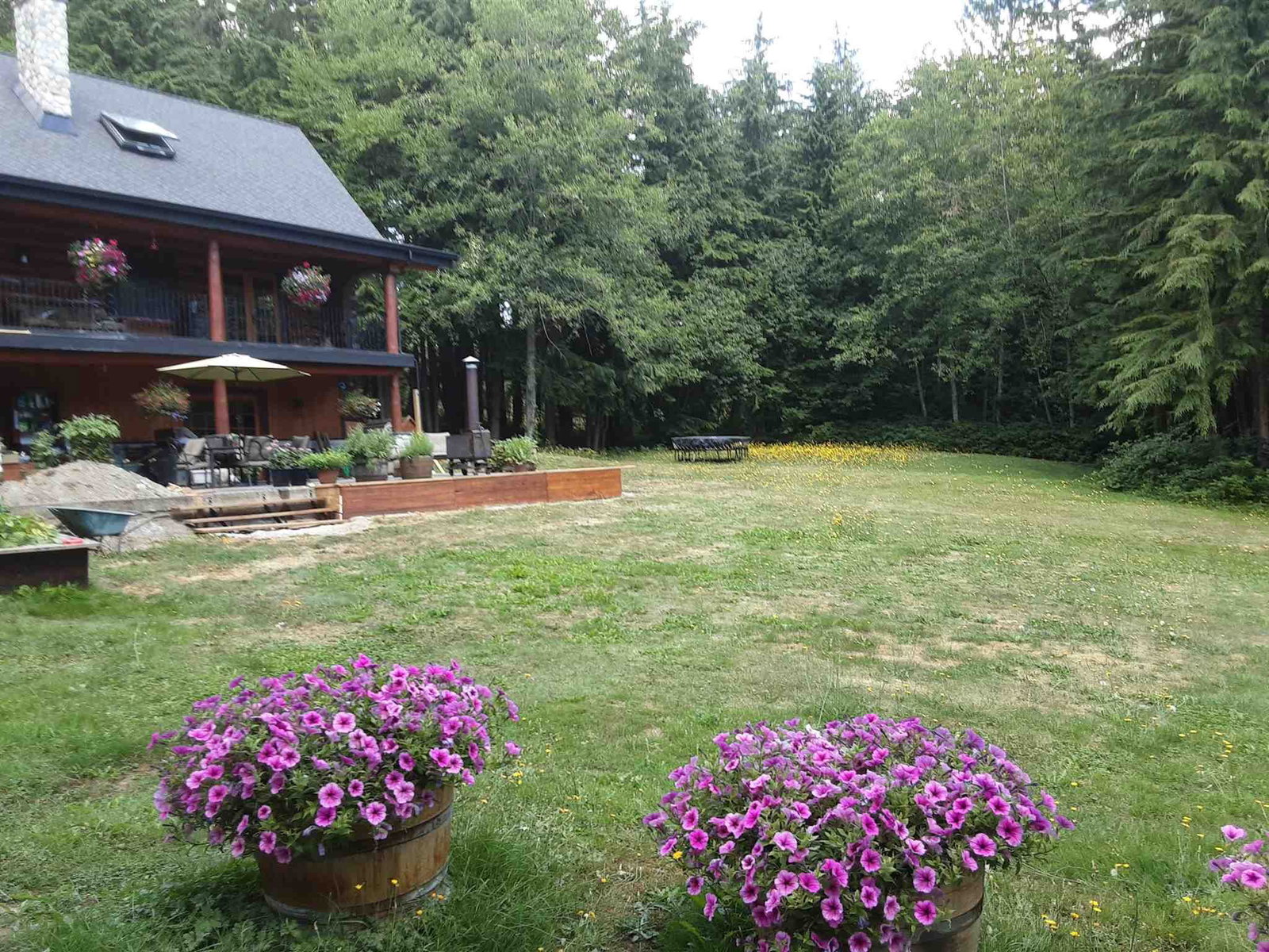 Listing Image 6
