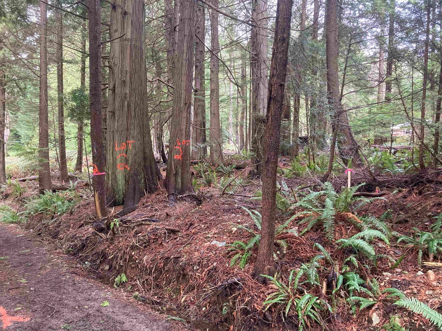 Listing Image 11
