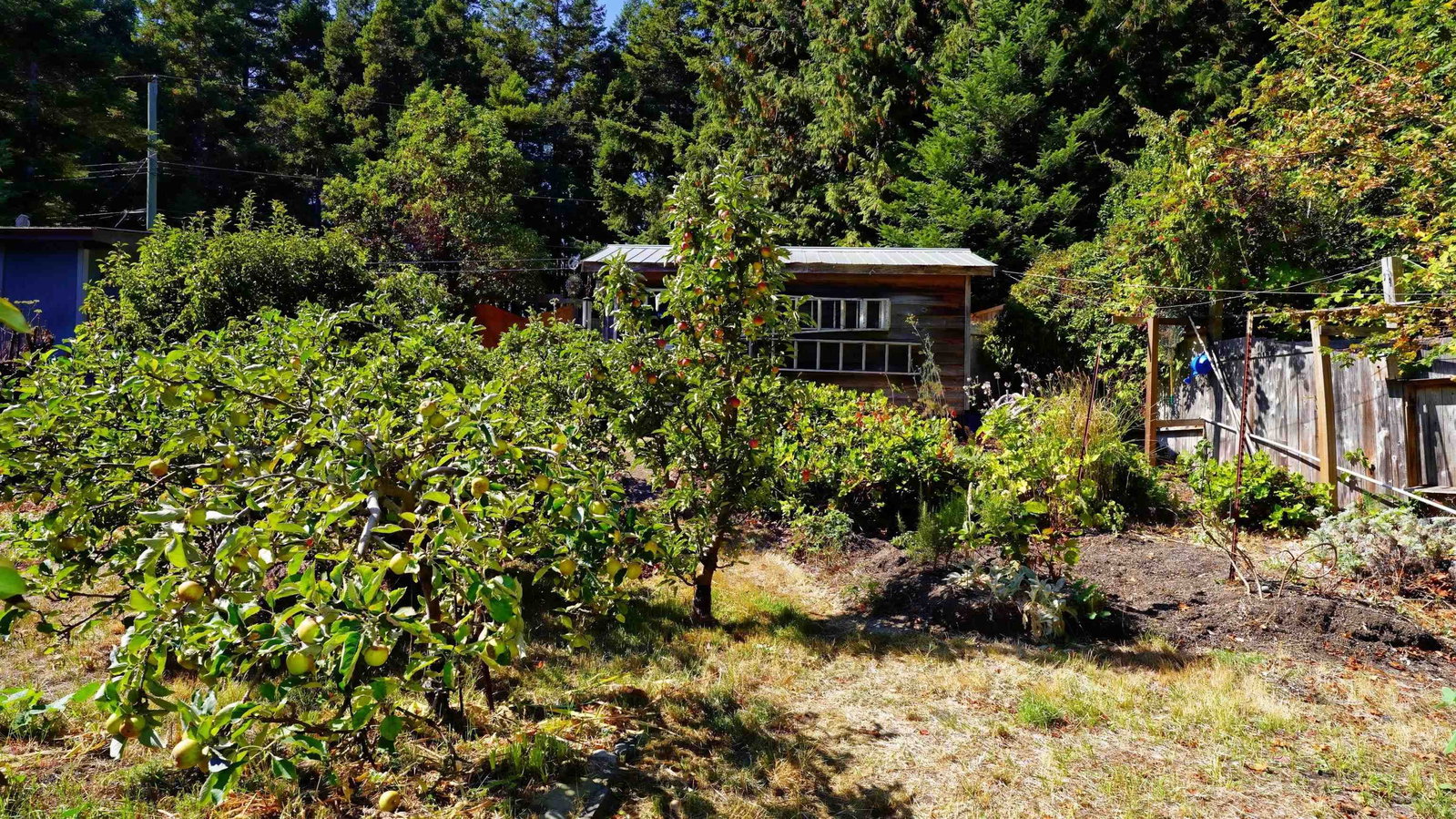 Listing Image 35