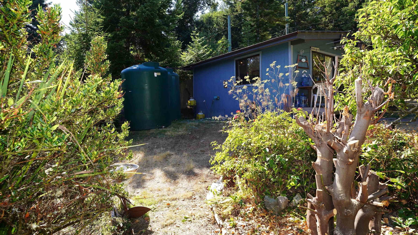 Listing Image 37