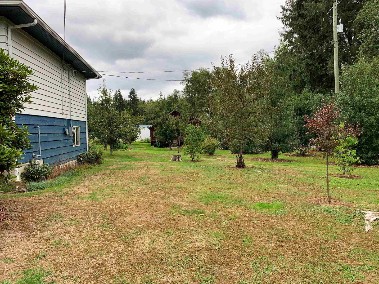 Listing Image 10