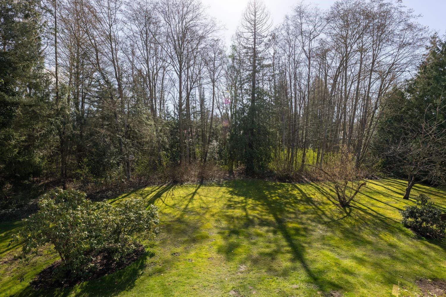 Listing Image 24