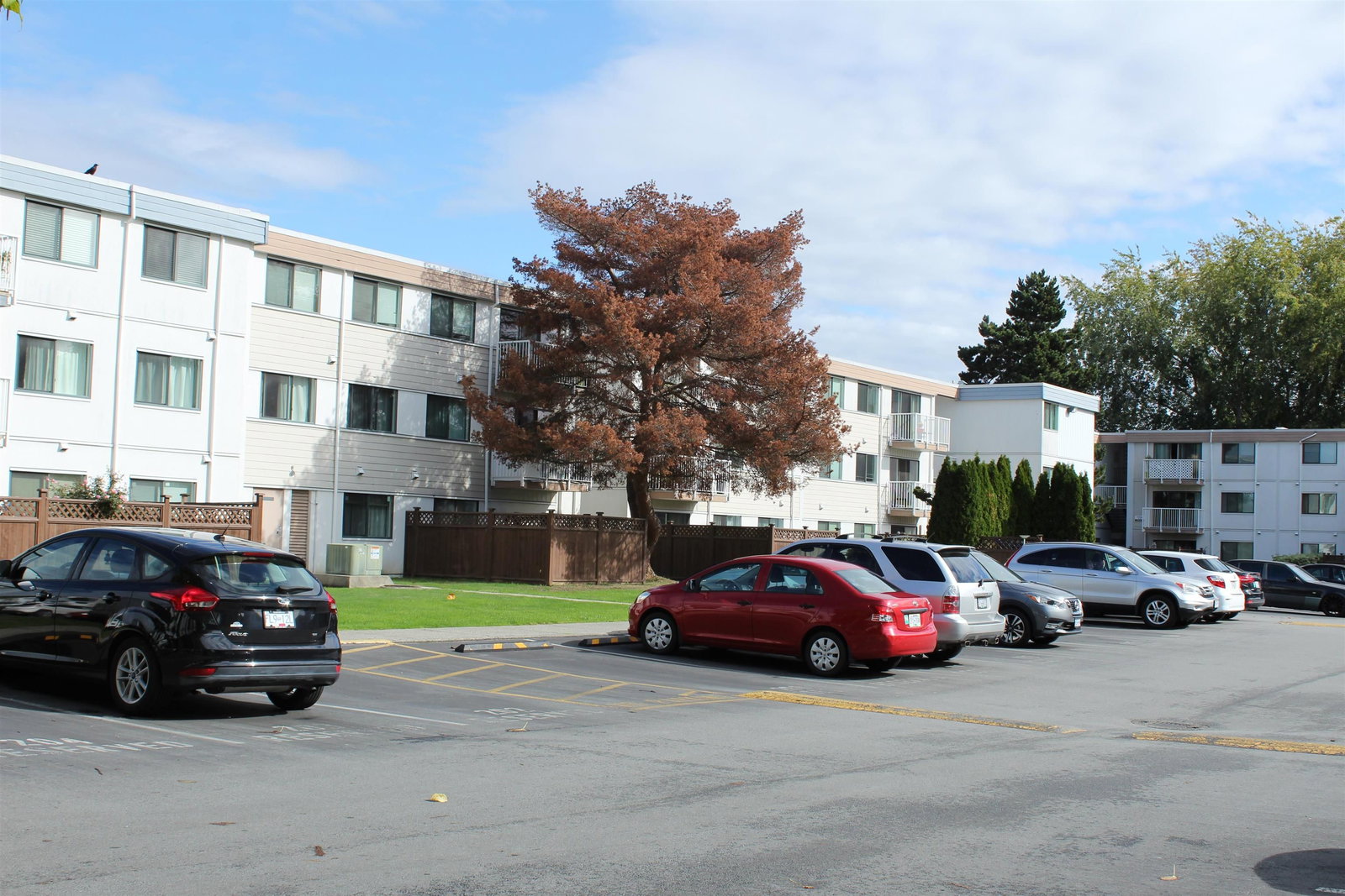 Listing Image 8