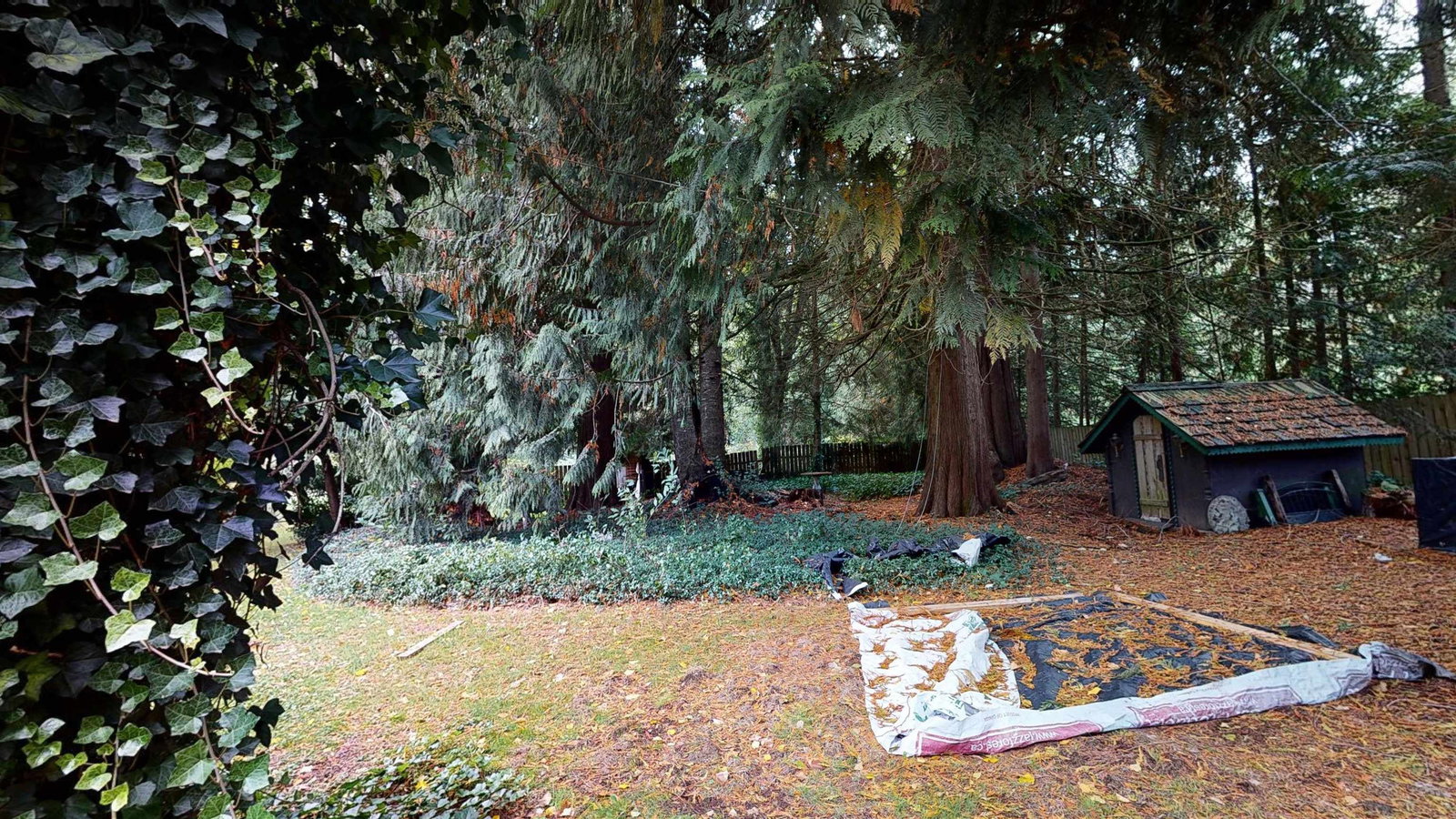 Listing Image 21