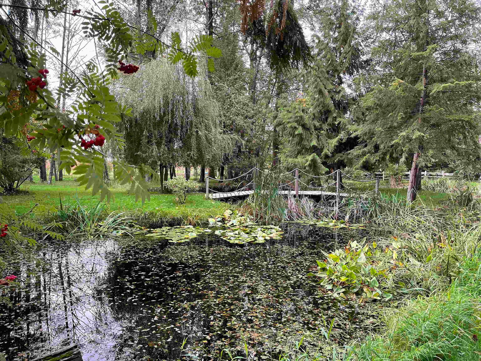 Listing Image 39