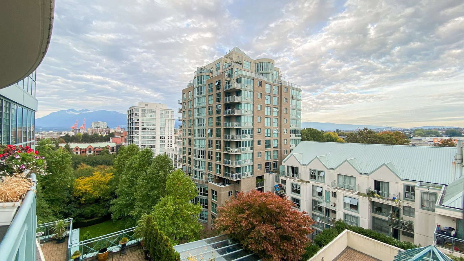 Listing Image 19