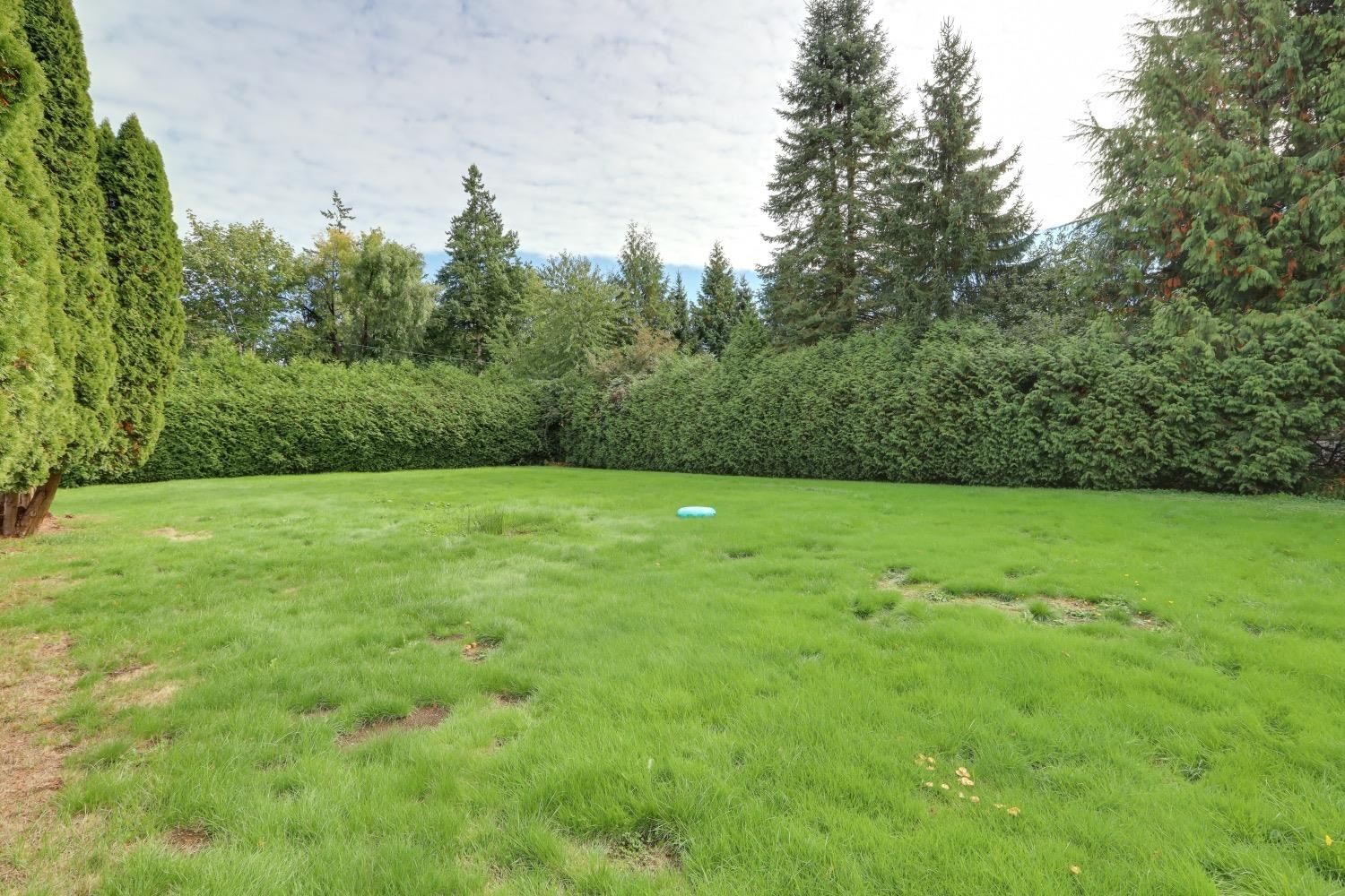 Listing Image 34