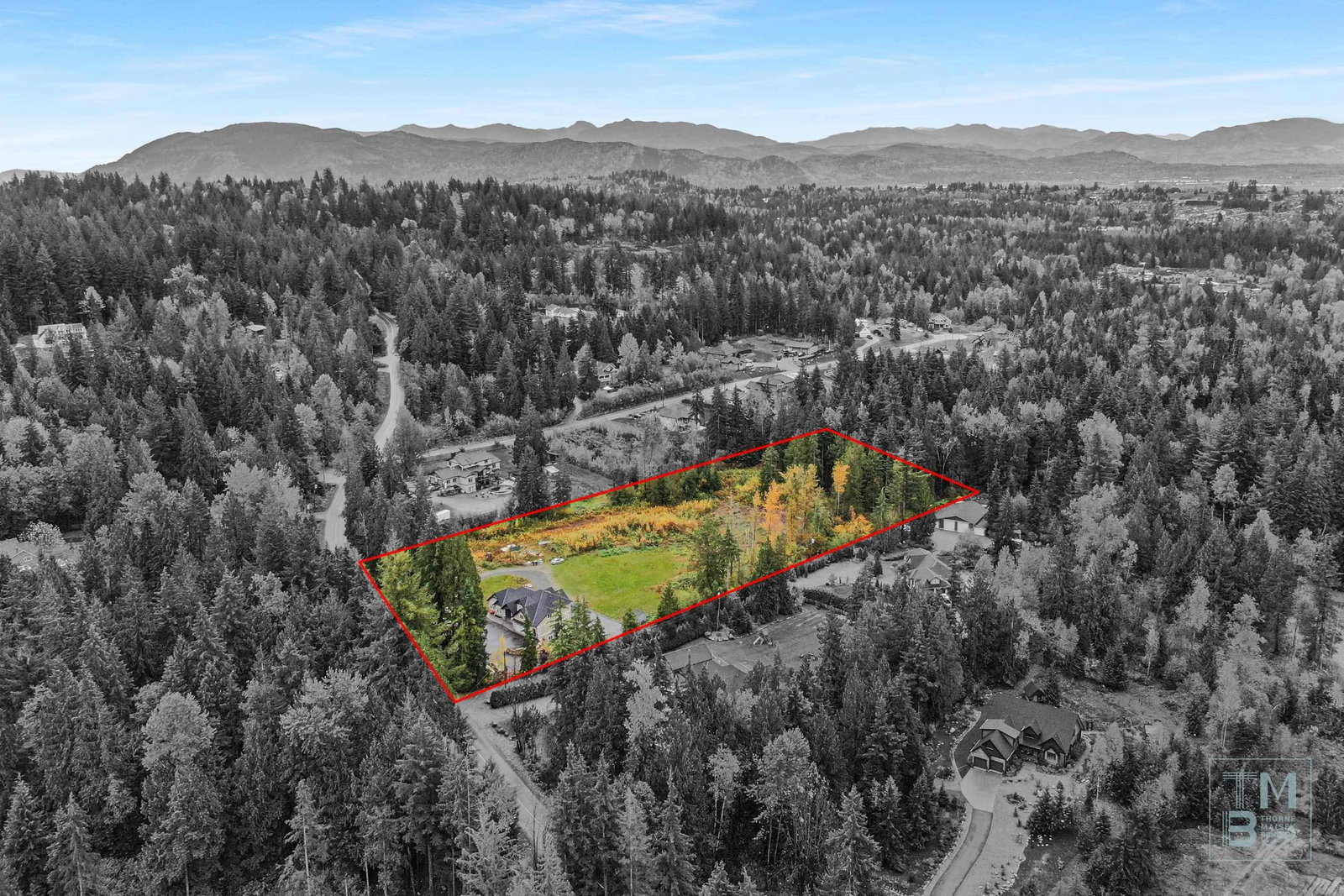 Listing Image 5