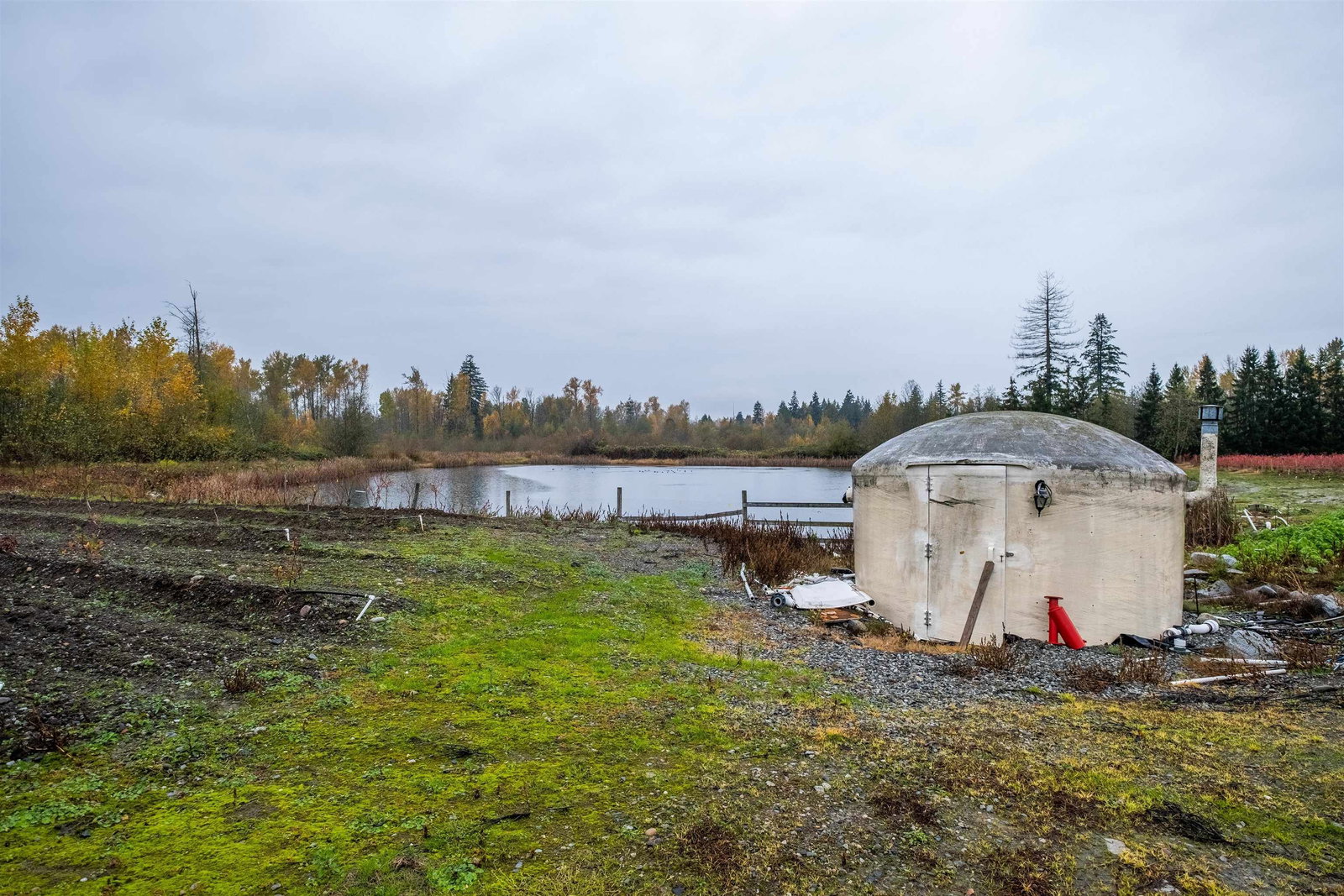 Listing Image 10