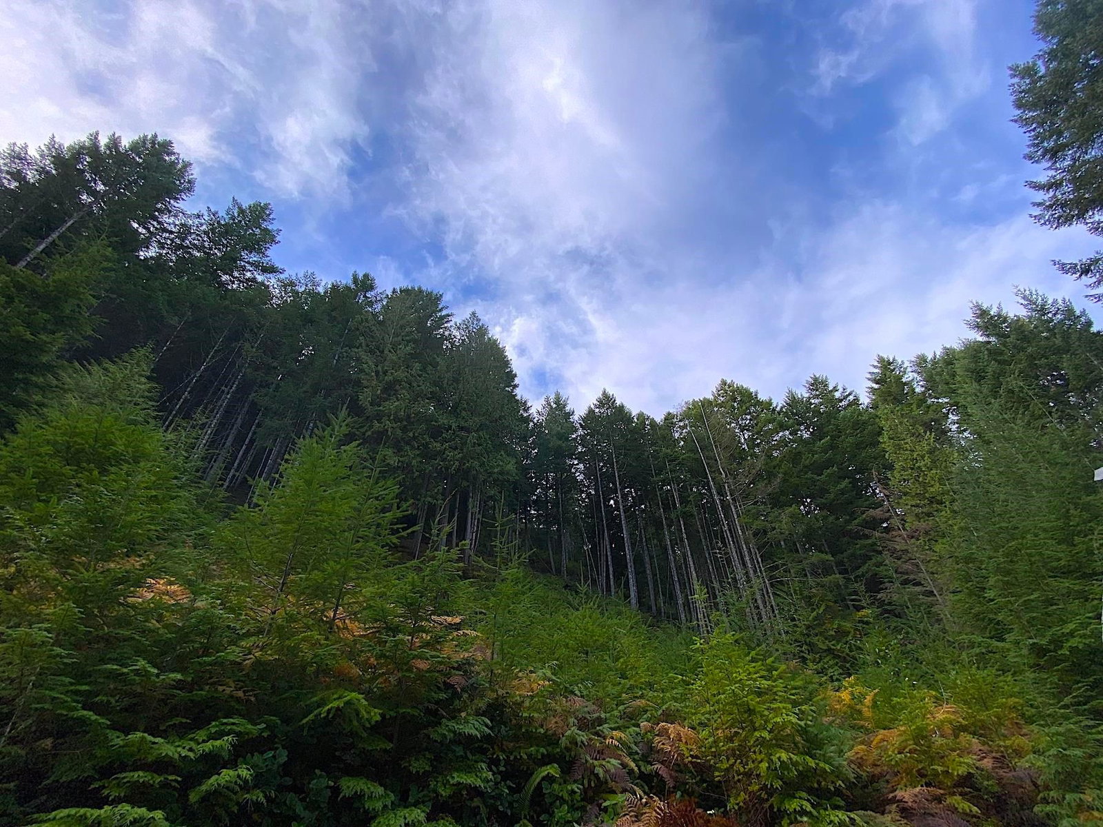 Listing Image 36