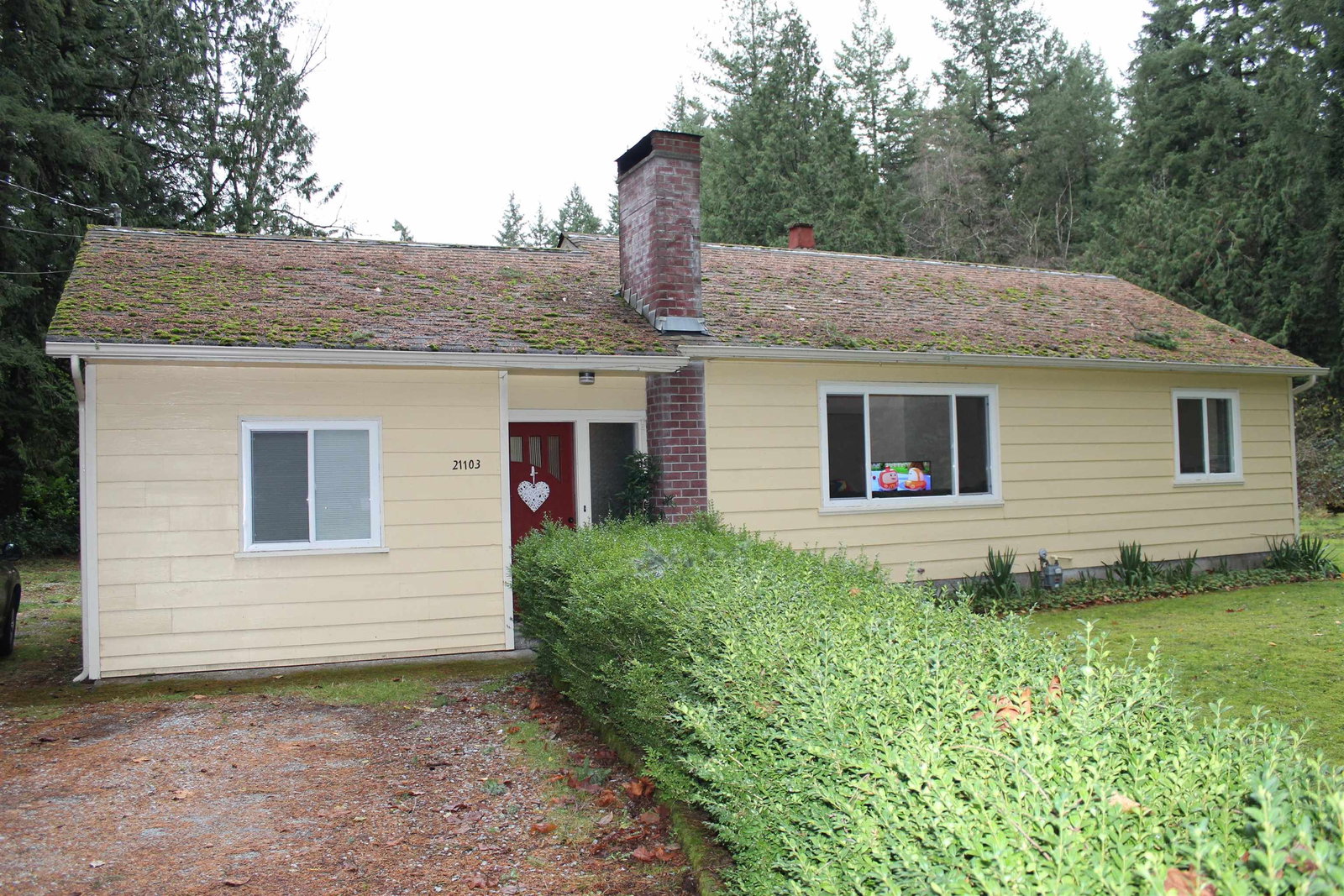 Listing Image 1