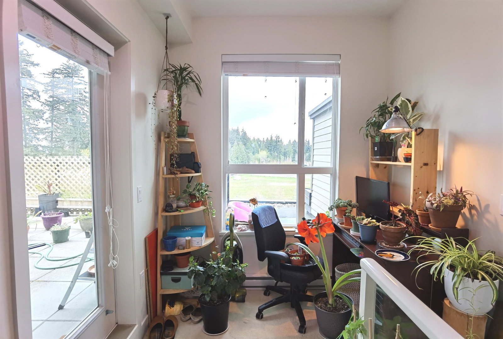 Listing Image 20