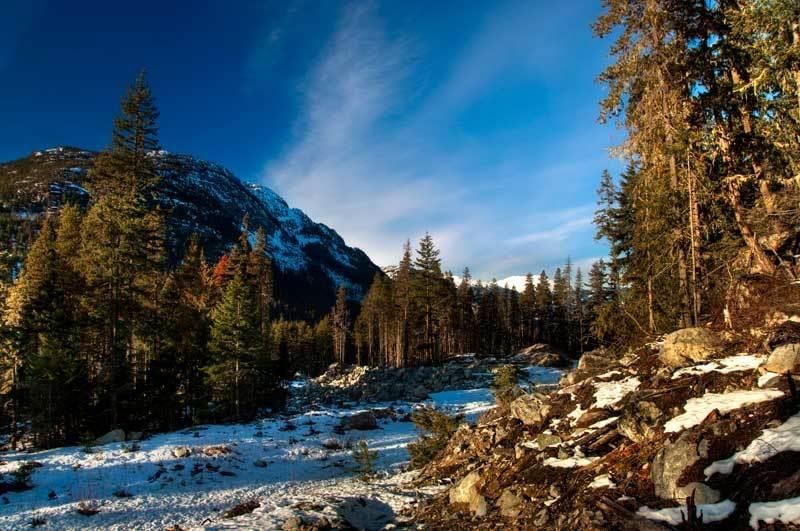 9024 Riverside Drive, Whistler, V8E 1M1 | Image 3