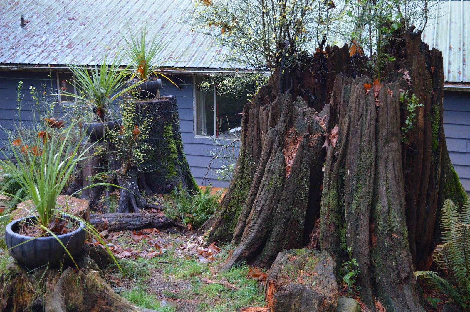 Listing Image 21
