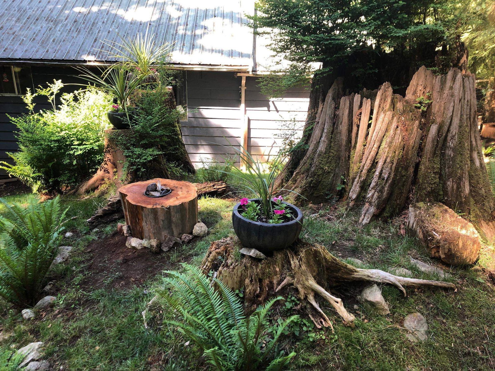 Listing Image 22