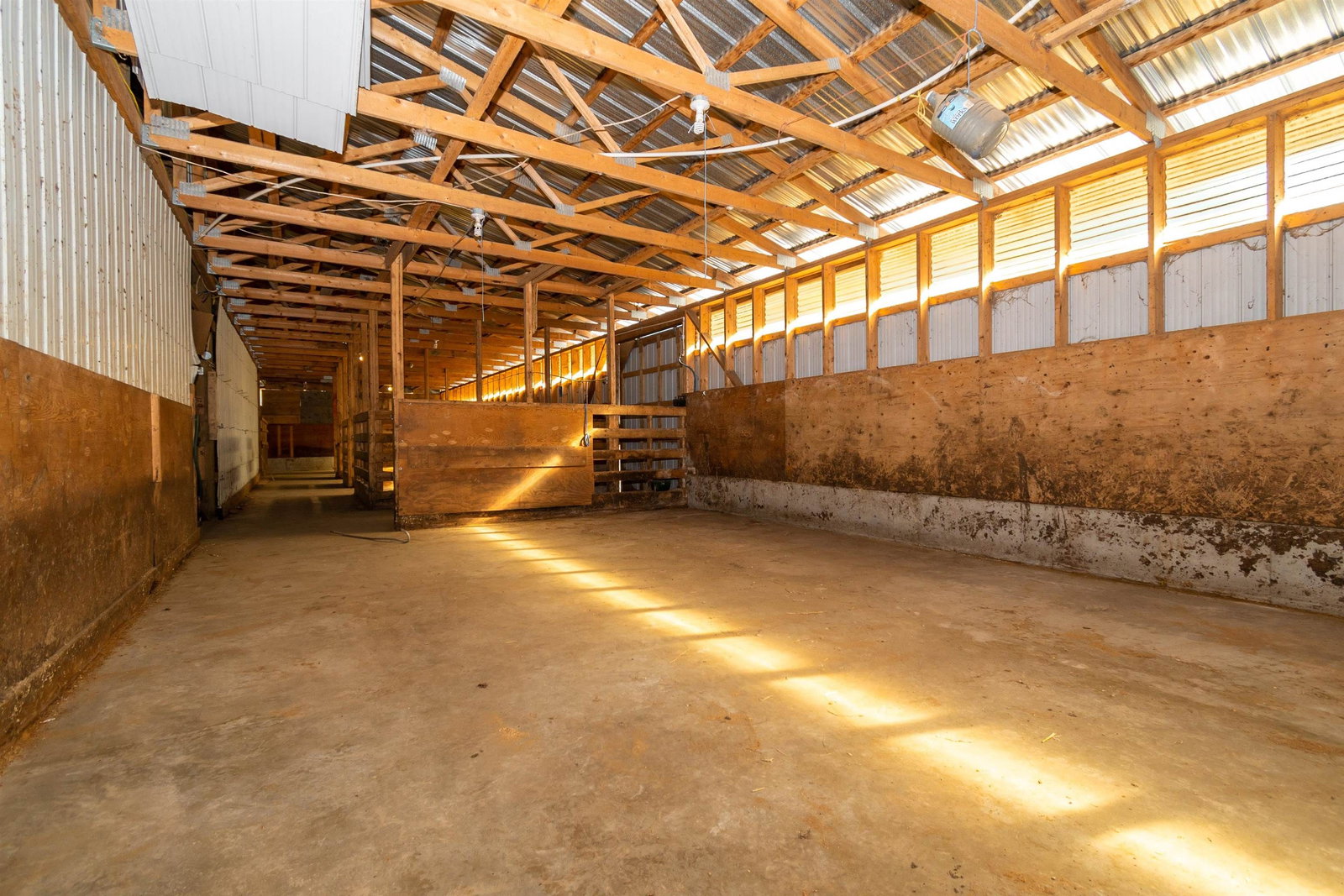Listing Image 23