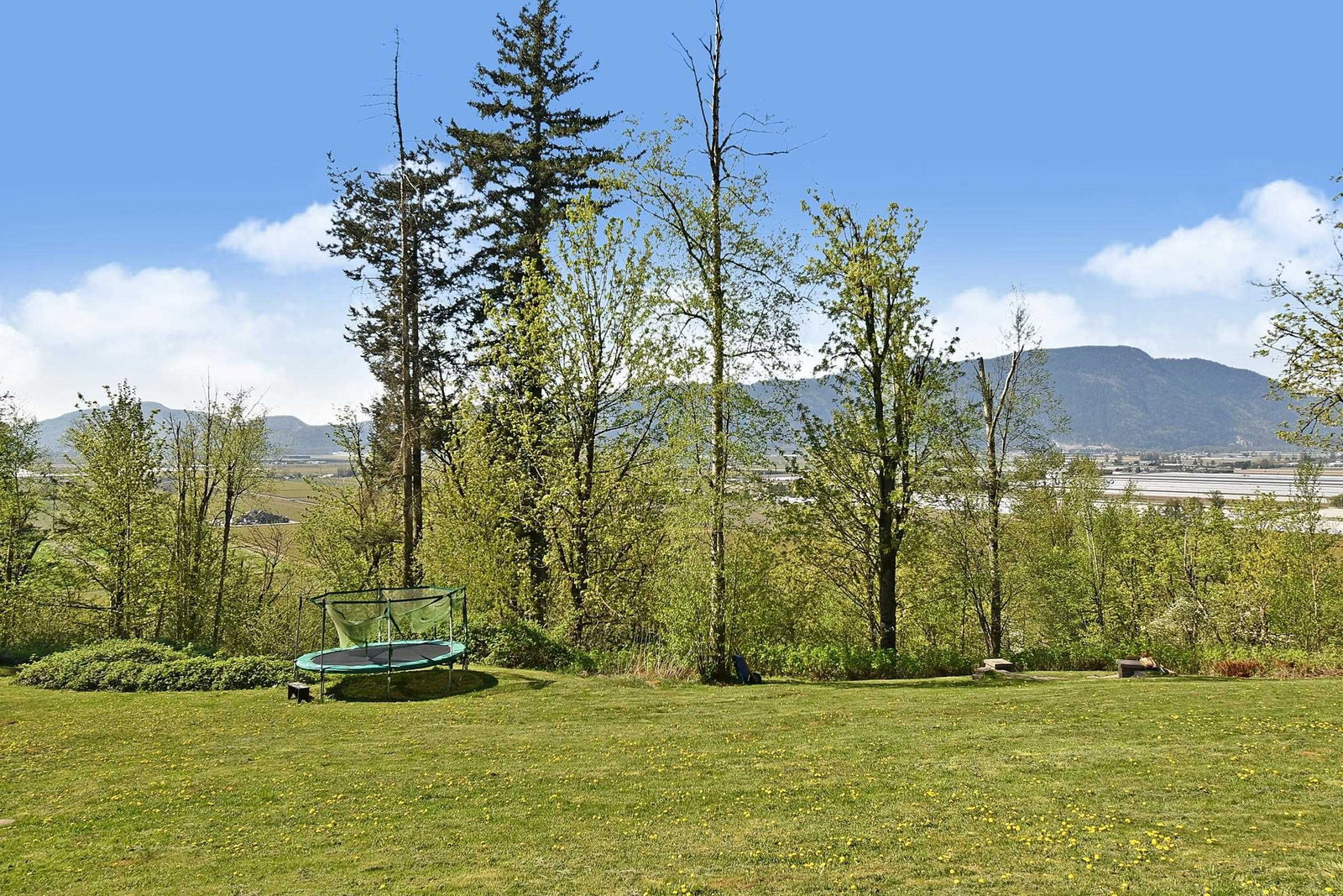 Listing Image 37