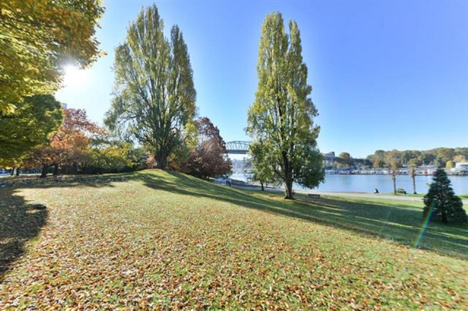 Listing Image 6