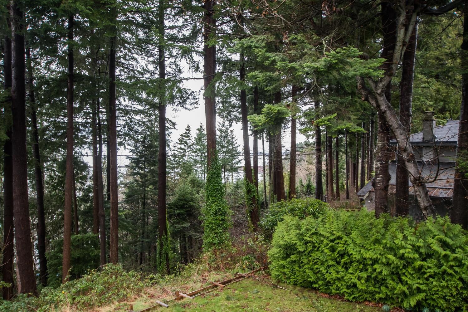 Listing Image 35
