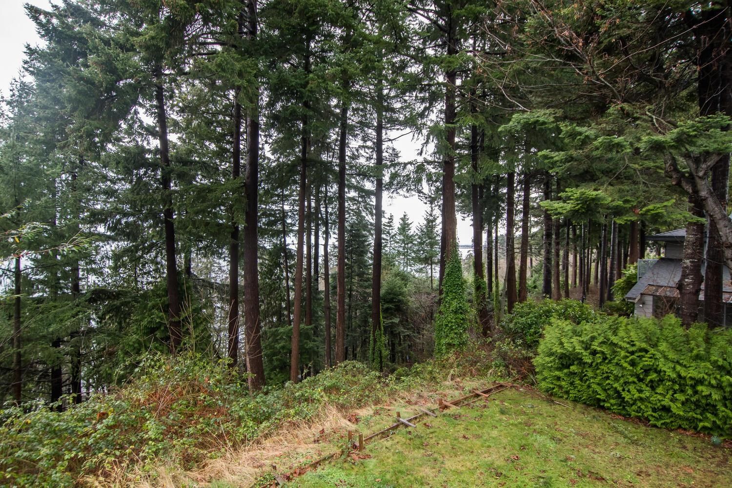 Listing Image 37
