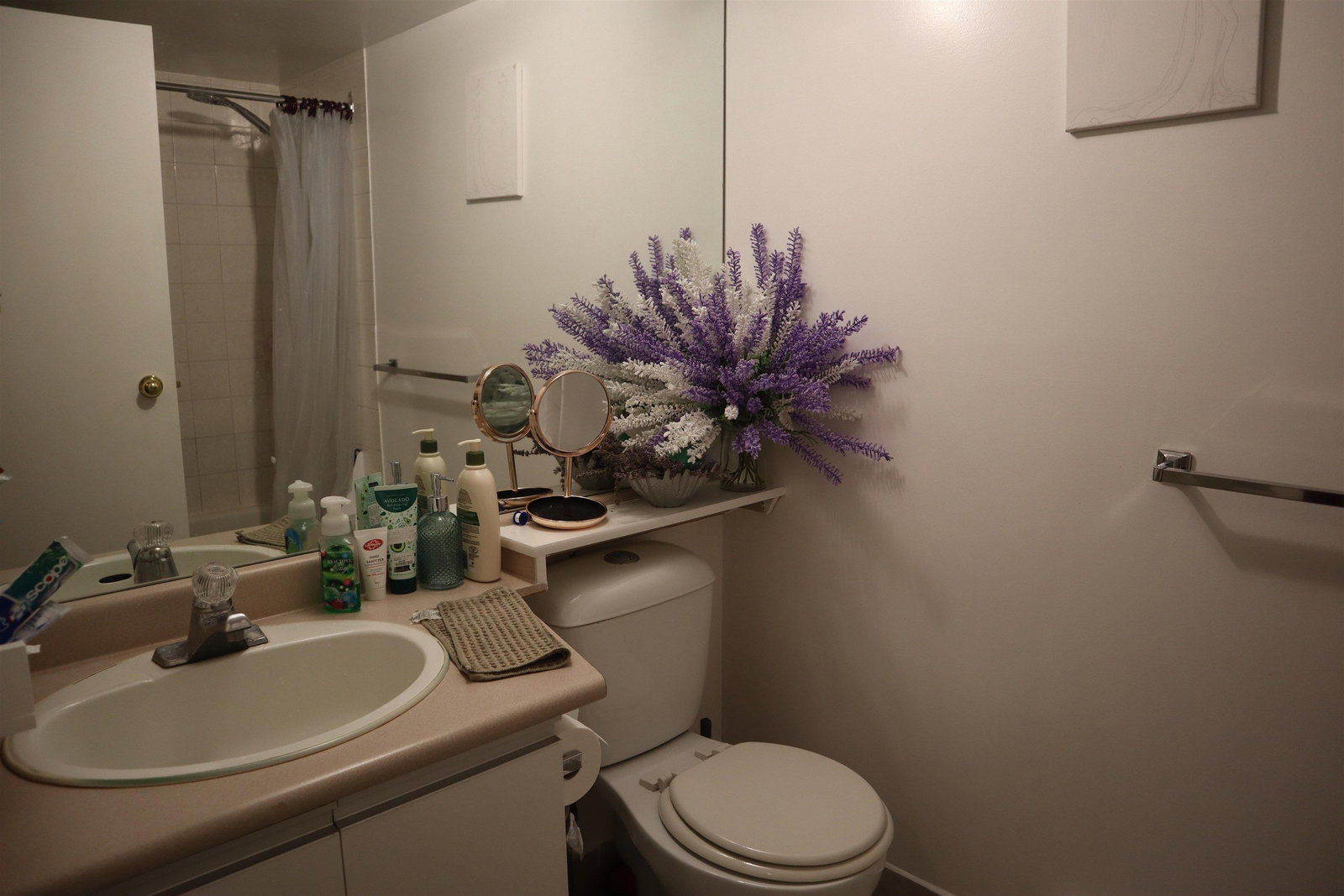 Listing Image 14
