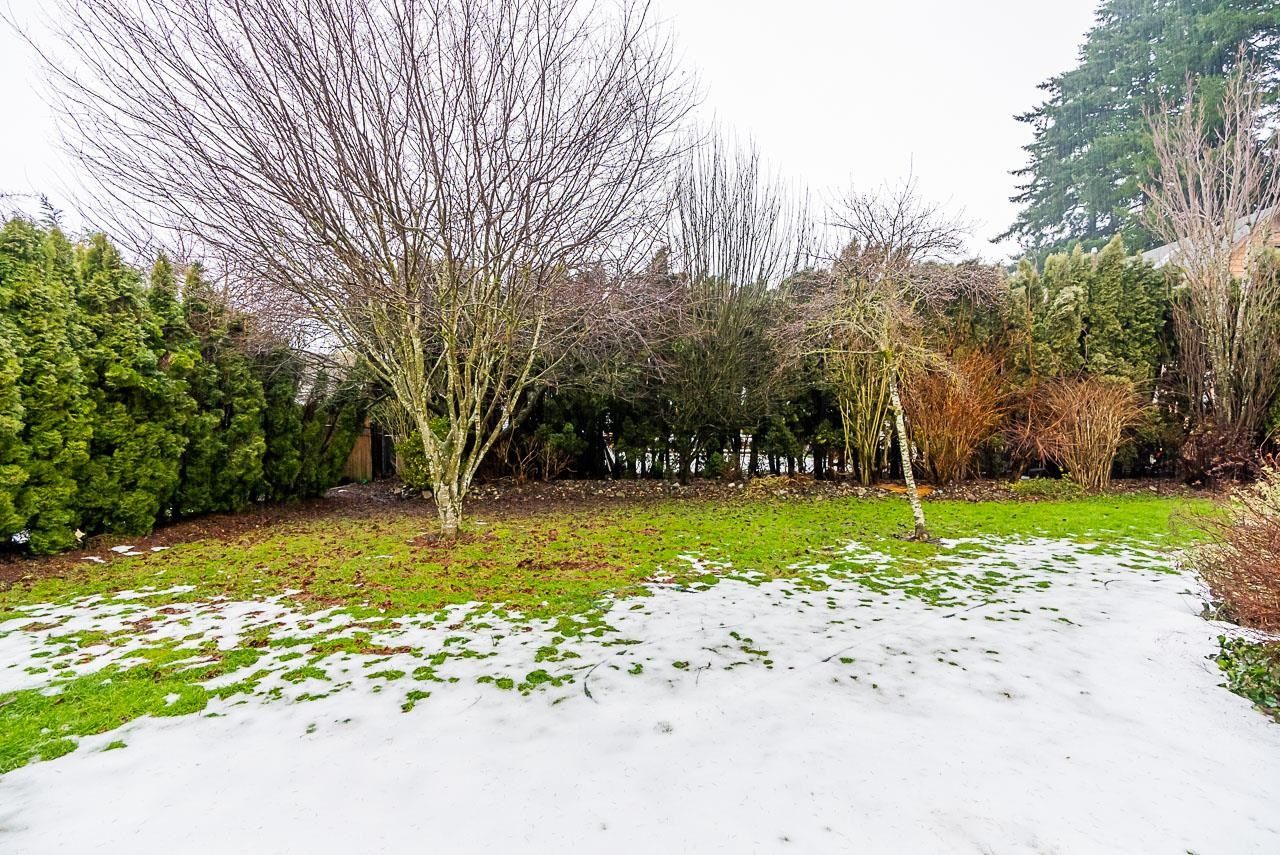 Listing Image 37