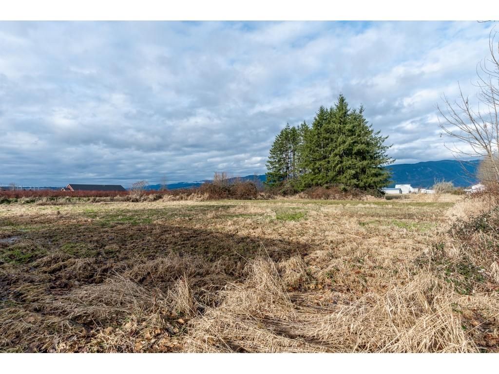 Listing Image 32