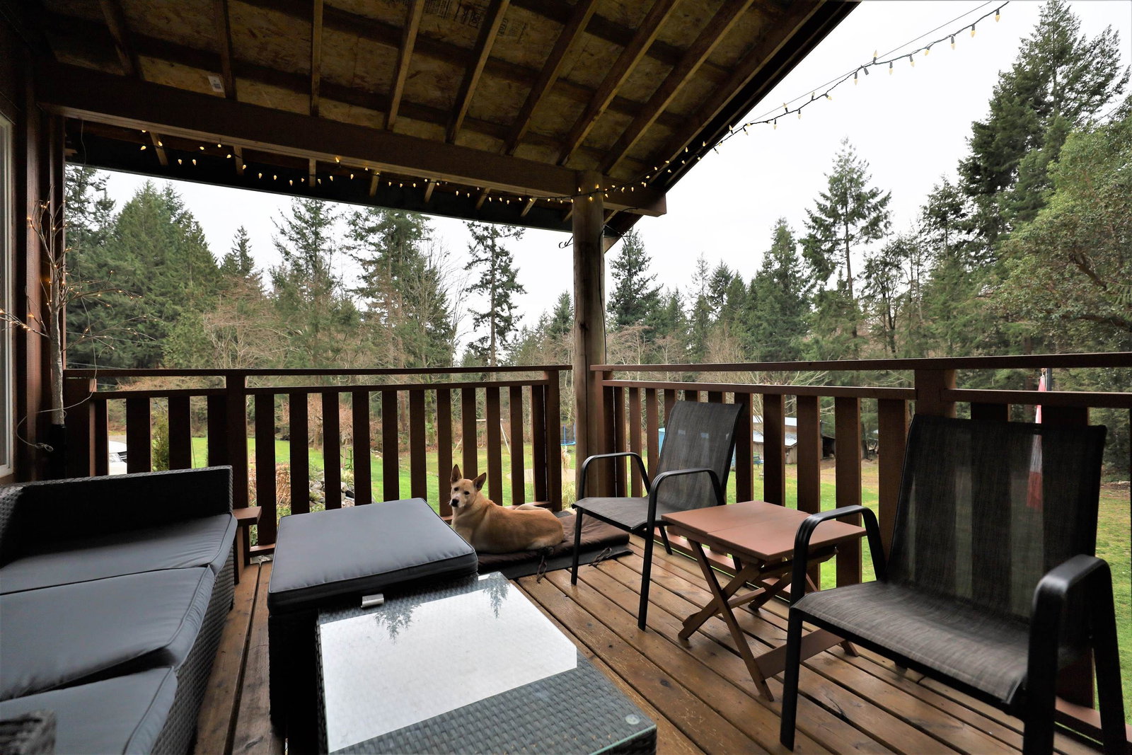 Listing Image 16