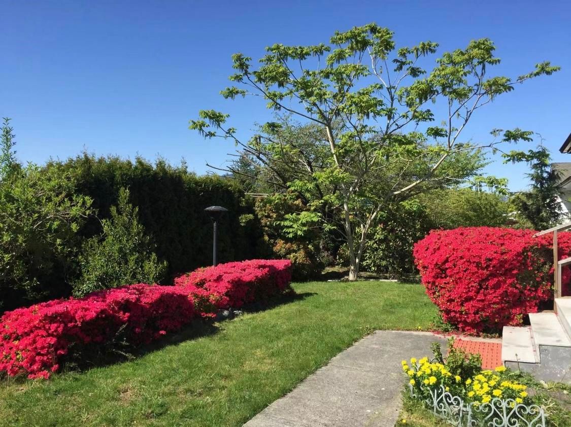 Listing Image 32