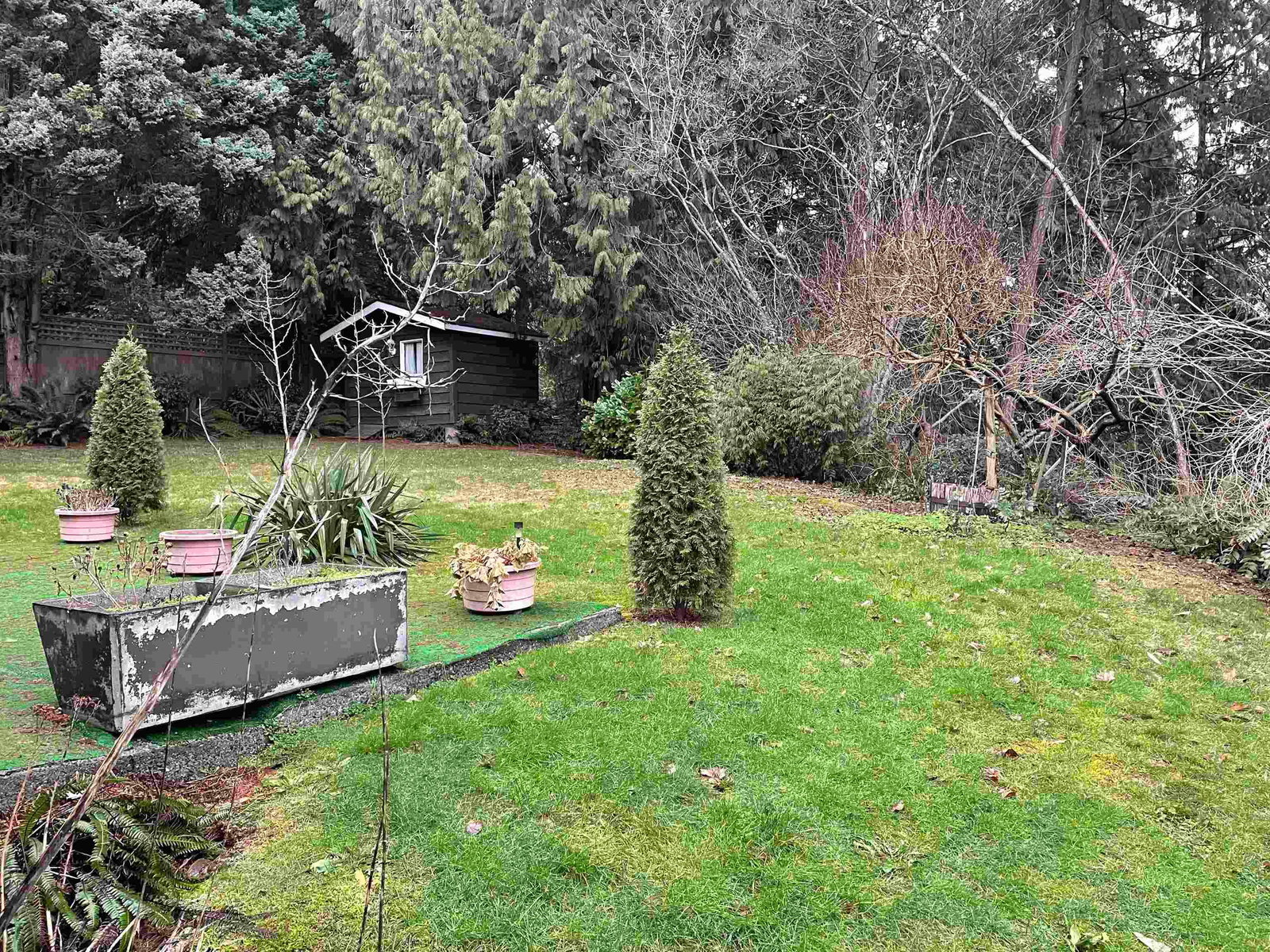 Listing Image 32