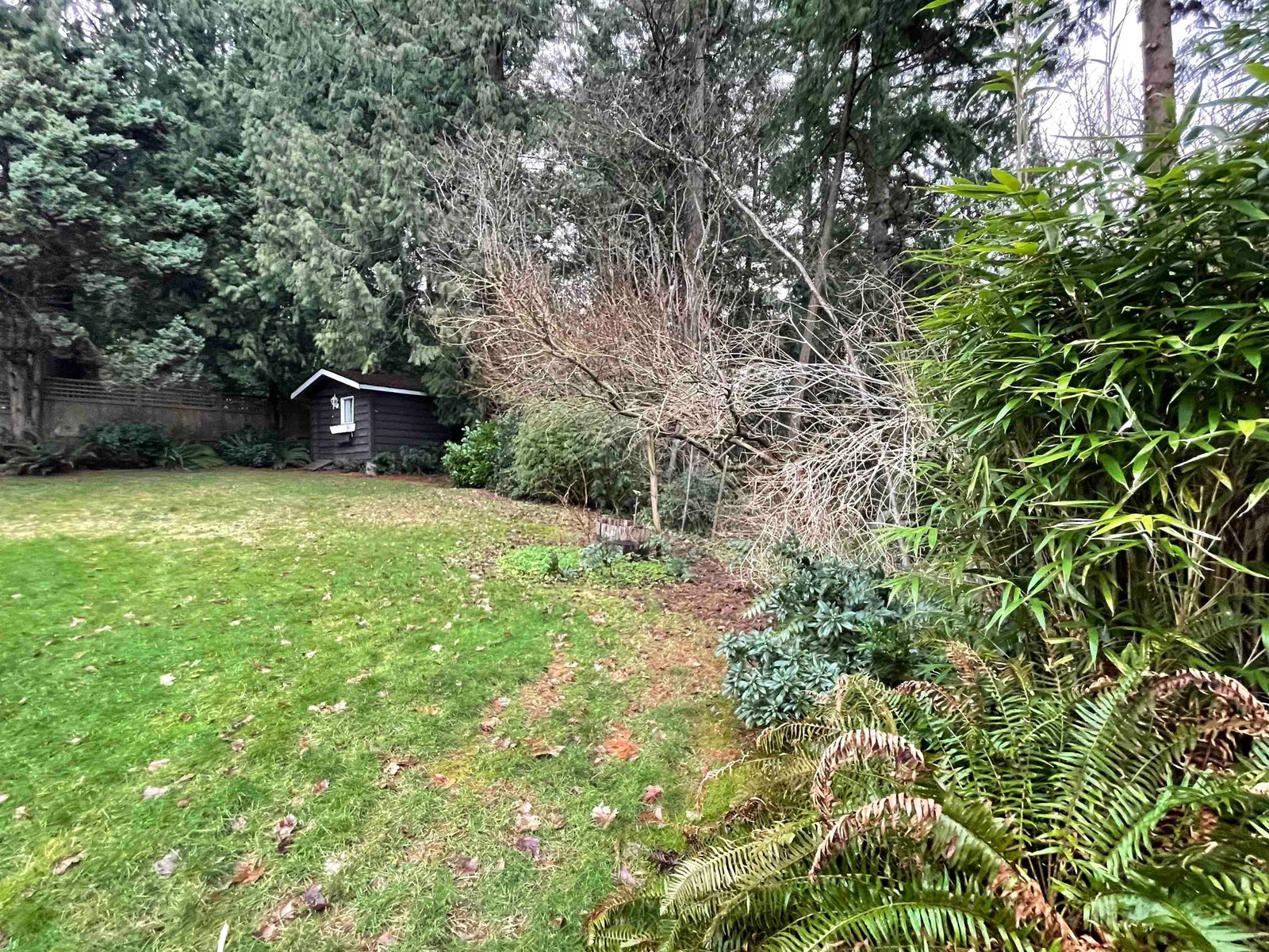Listing Image 33