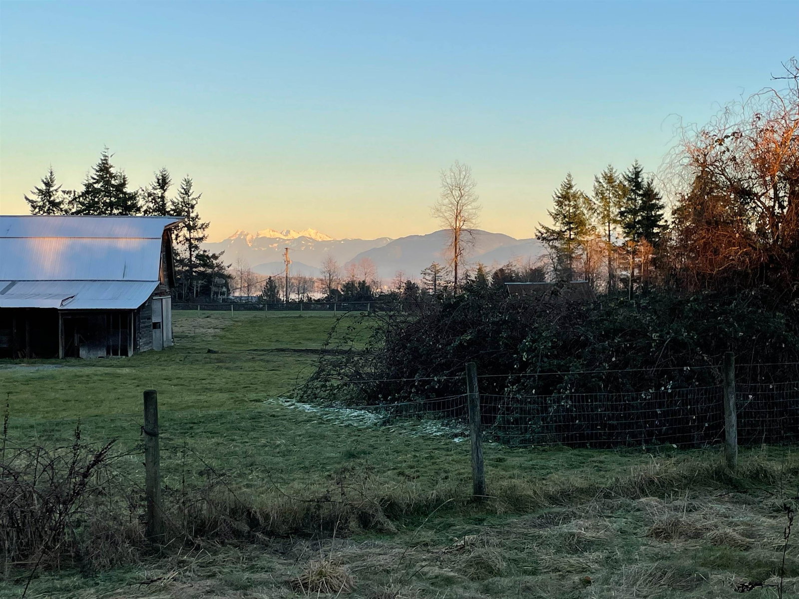 Listing Image 16