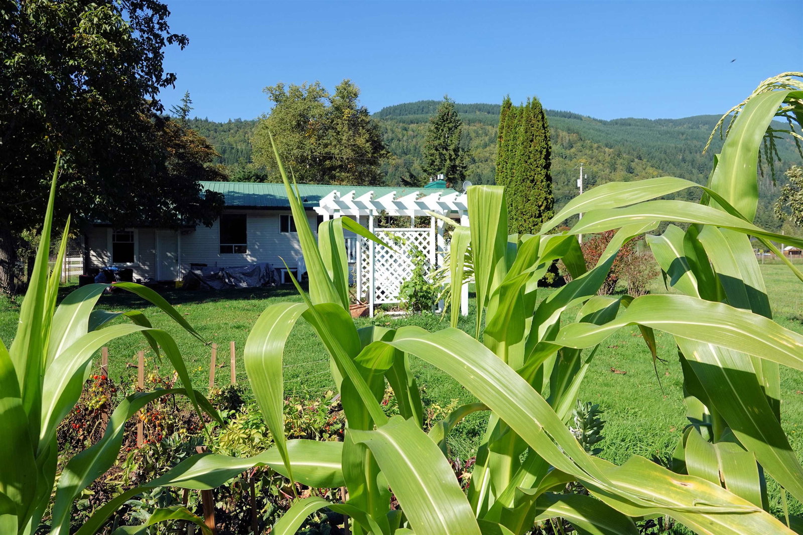 Listing Image 12
