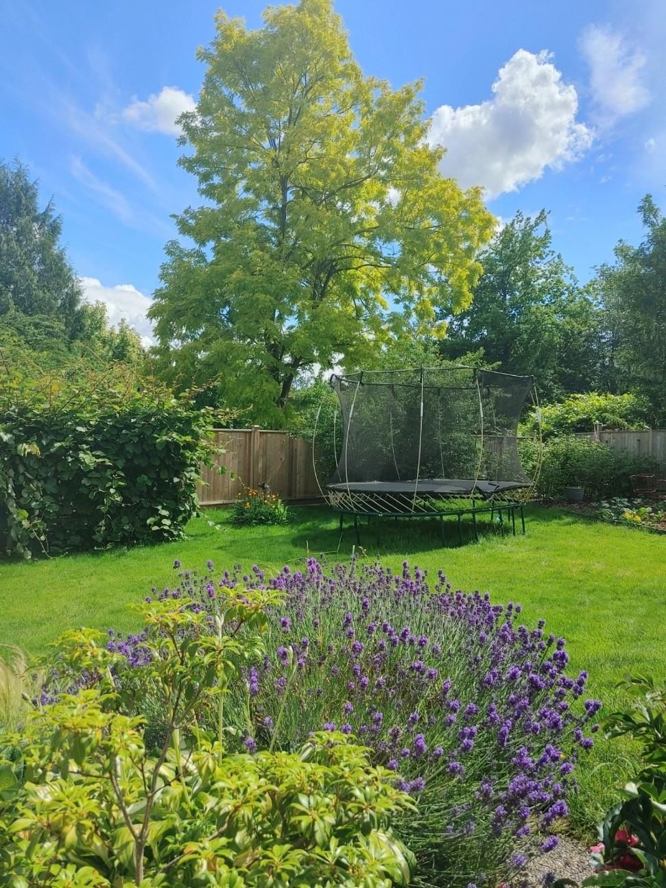 Listing Image 20
