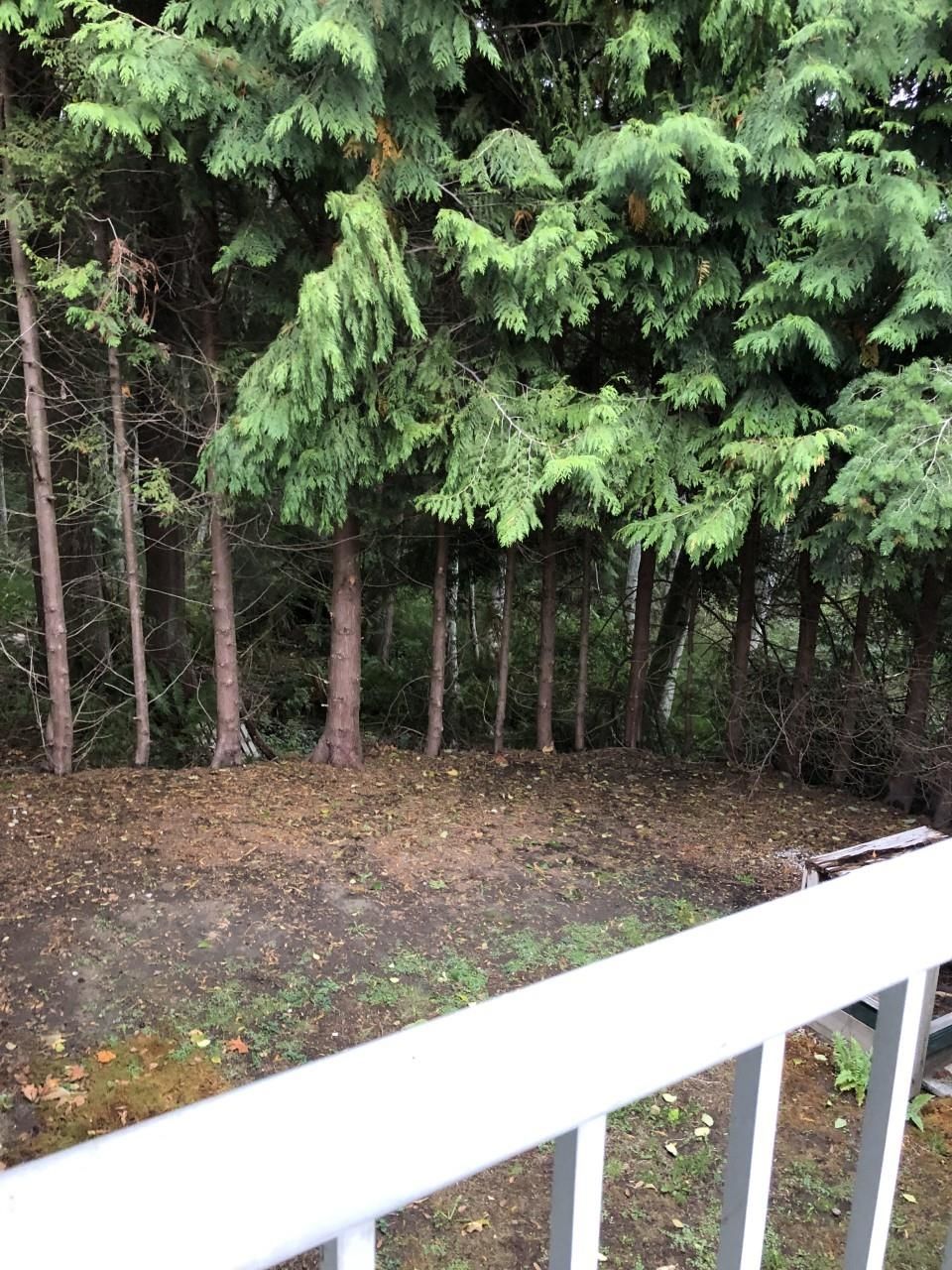 Listing Image 24