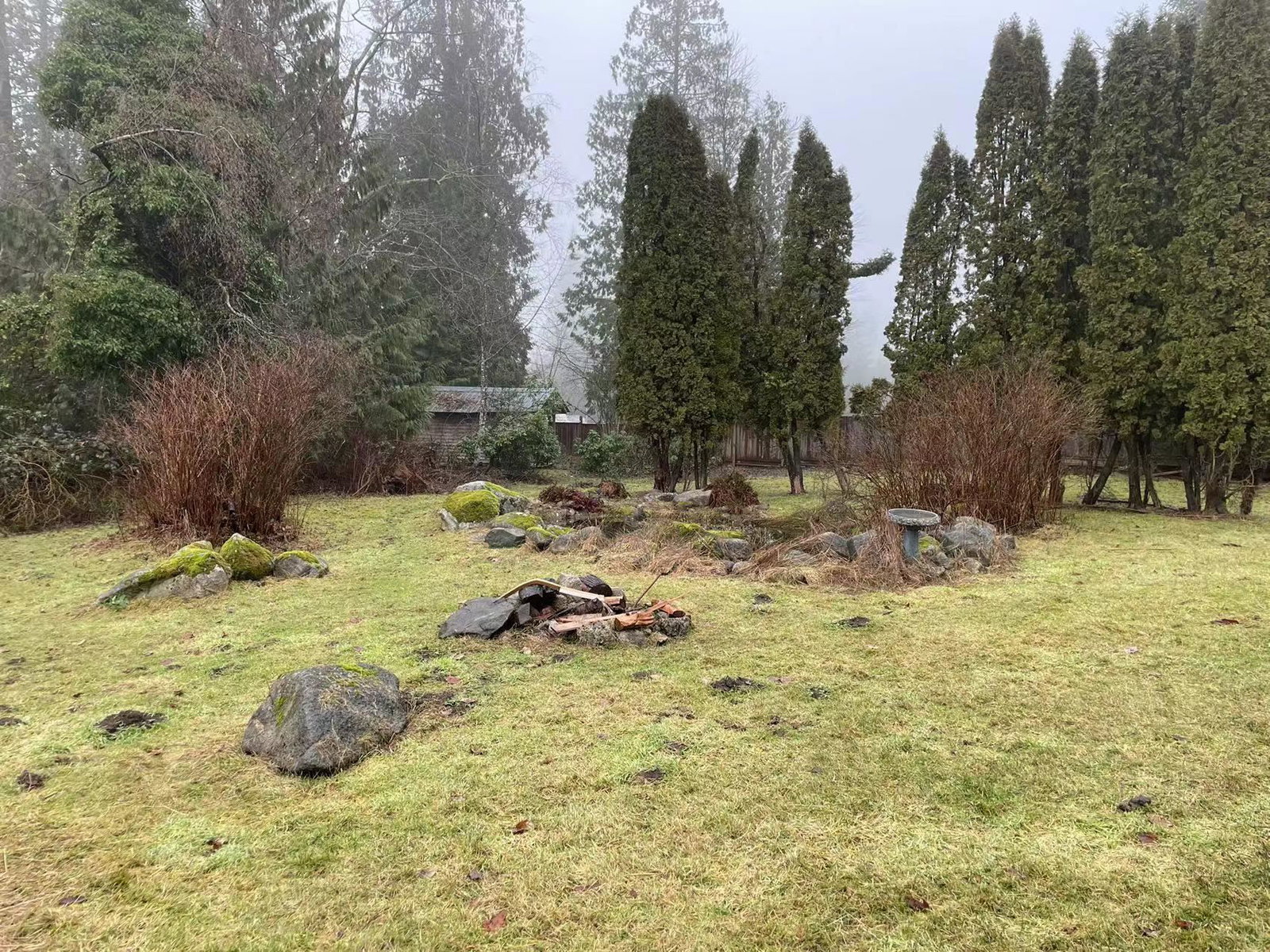 Listing Image 20