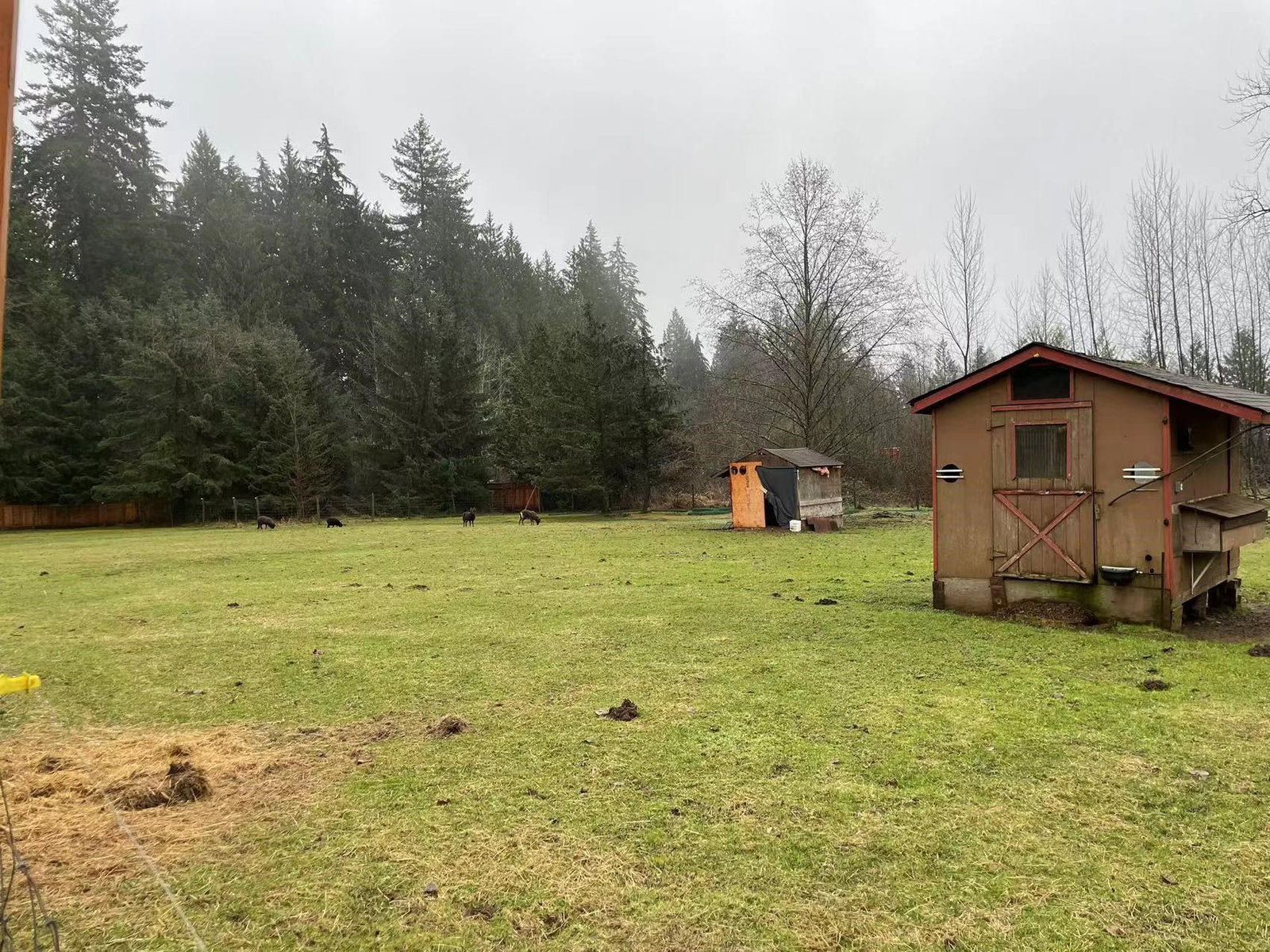 Listing Image 22