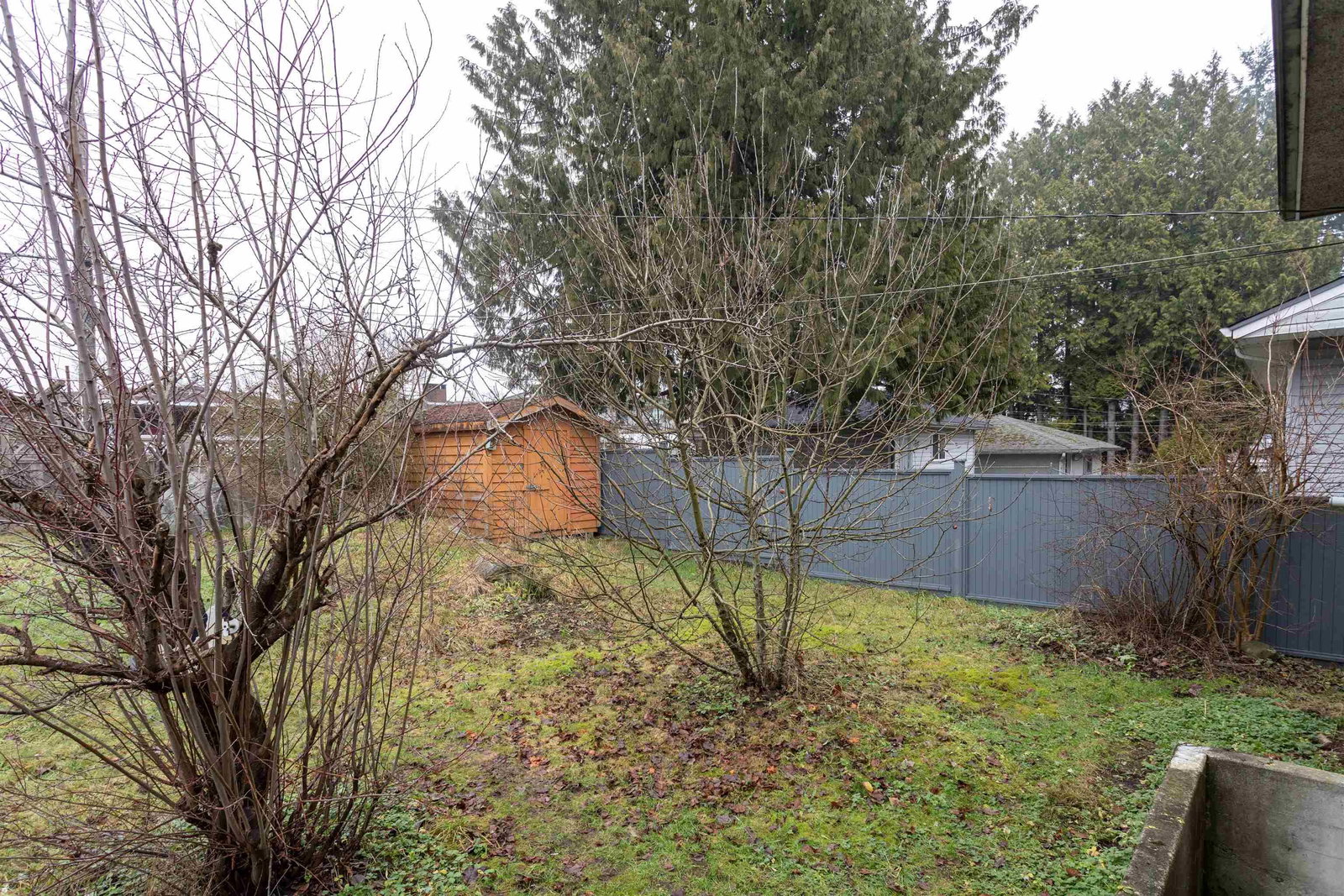 Listing Image 16
