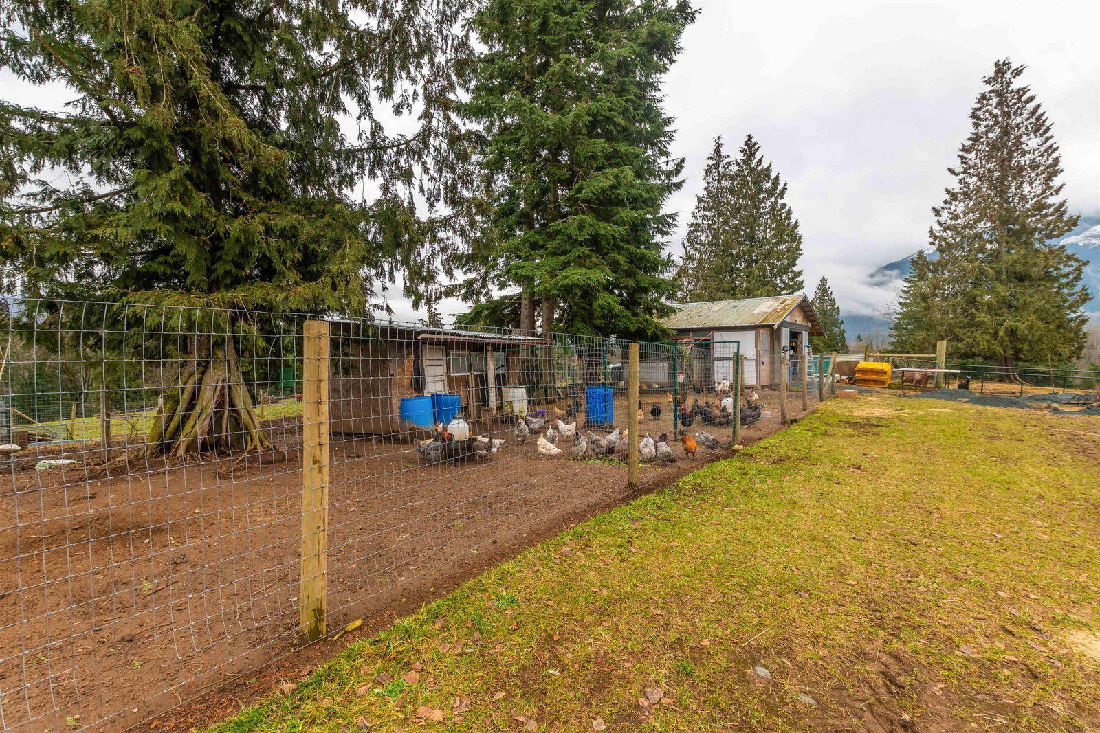 Listing Image 13