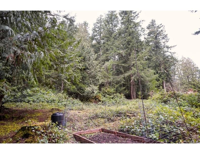 Listing Image 32
