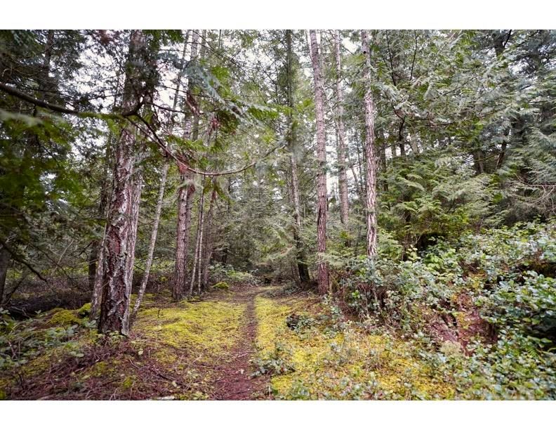 Listing Image 34