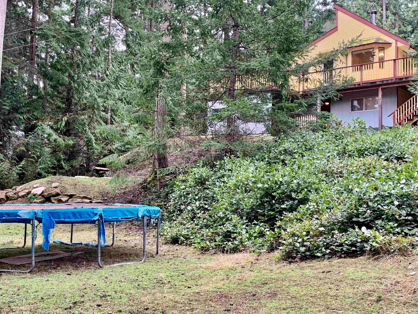 Listing Image 38