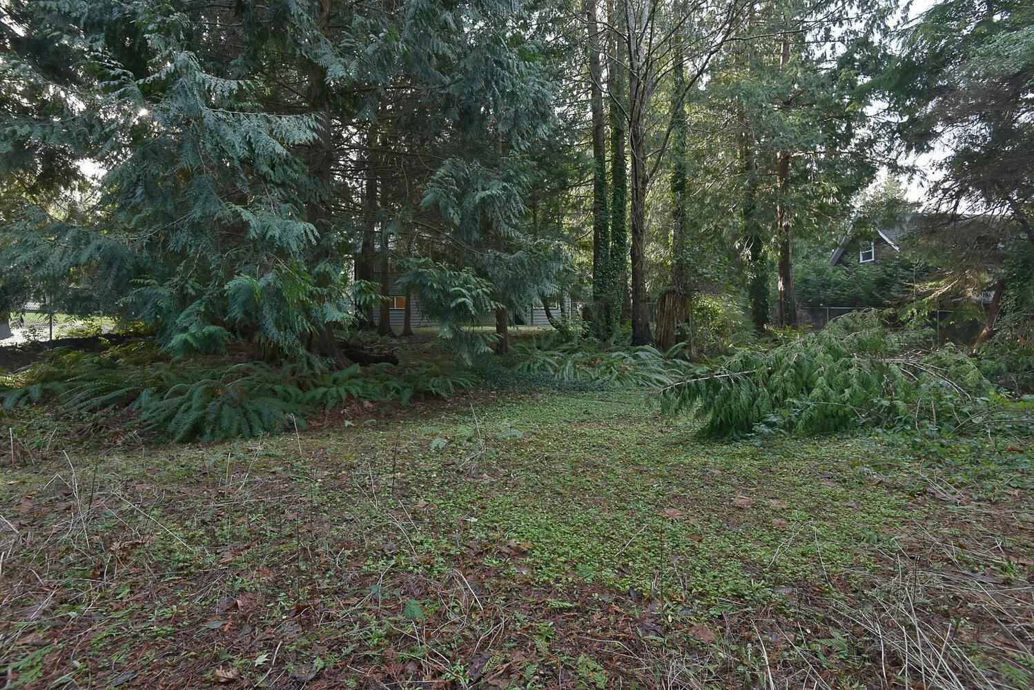Listing Image 27