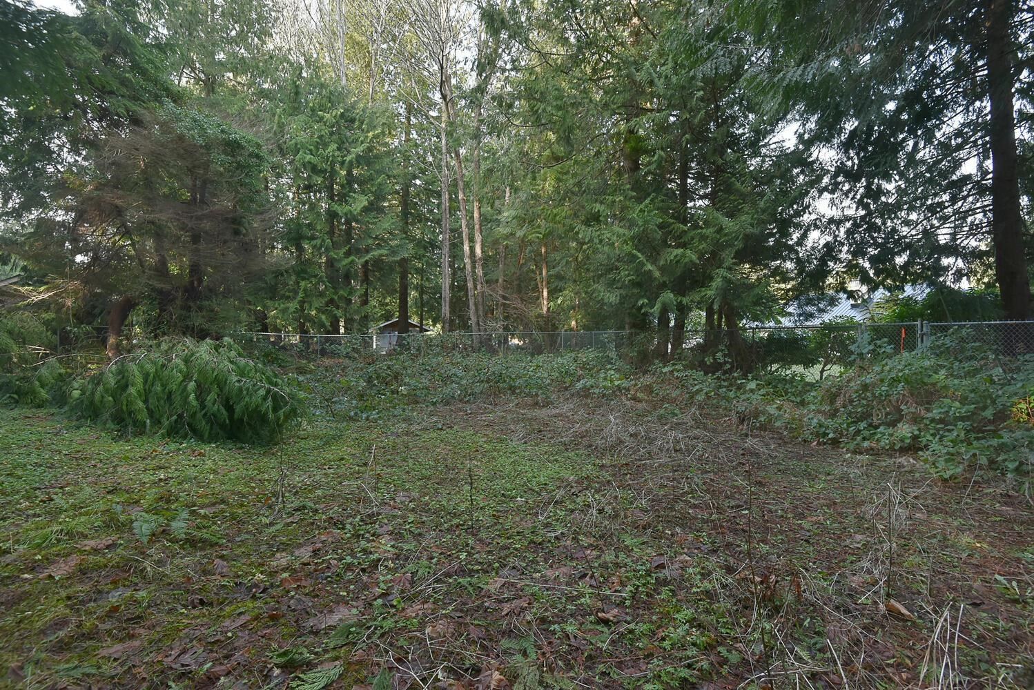 Listing Image 28