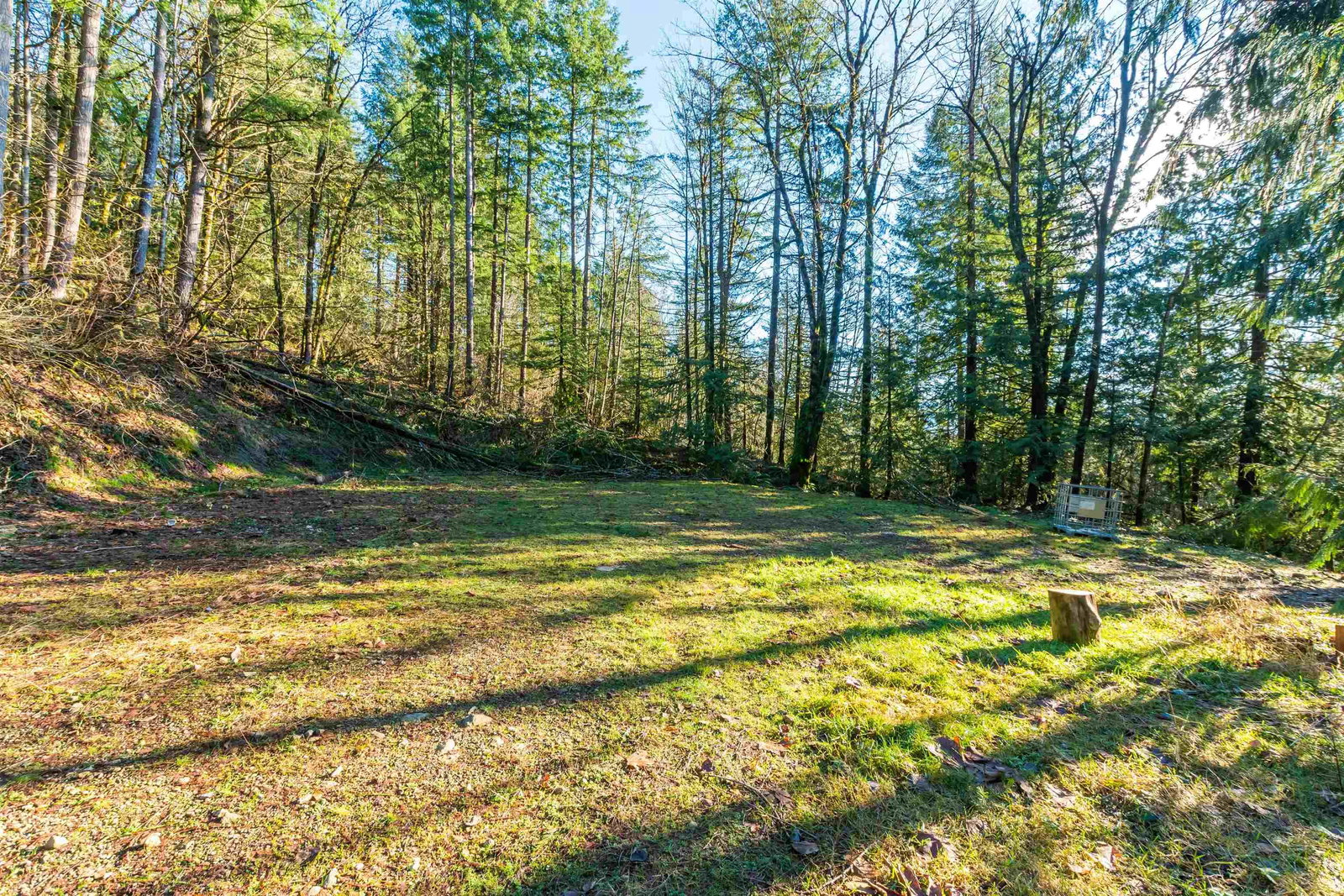Listing Image 37